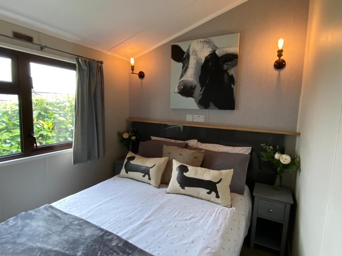 Rew Farm Country & Equestrian Accommodation - Sunrise Lodge Melksham Exteriör bild