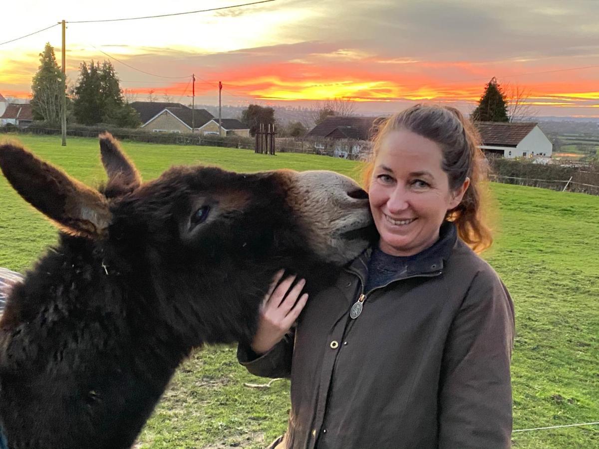 Rew Farm Country & Equestrian Accommodation - Sunrise Lodge Melksham Exteriör bild
