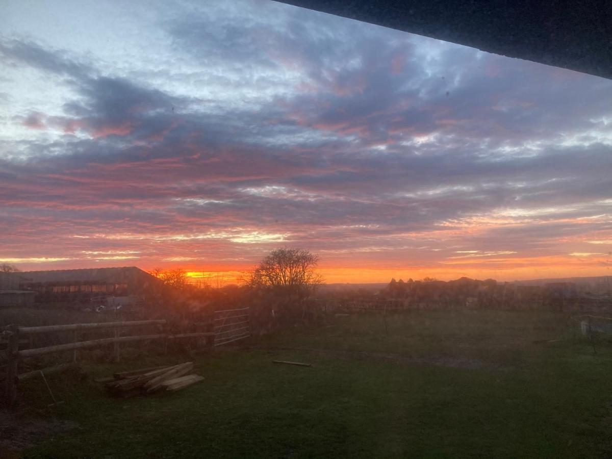 Rew Farm Country & Equestrian Accommodation - Sunrise Lodge Melksham Exteriör bild
