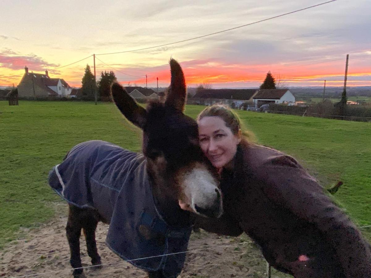 Rew Farm Country & Equestrian Accommodation - Sunrise Lodge Melksham Exteriör bild