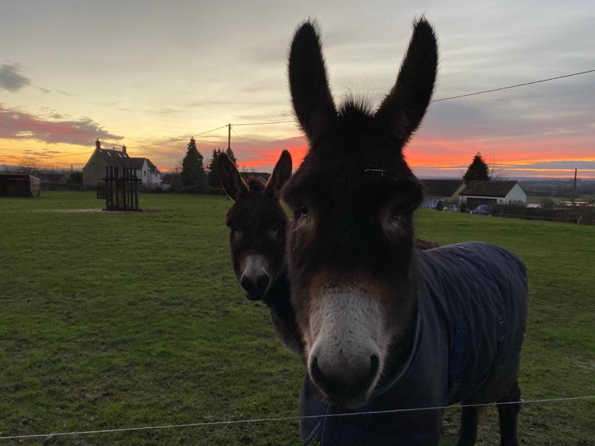 Rew Farm Country & Equestrian Accommodation - Sunrise Lodge Melksham Exteriör bild