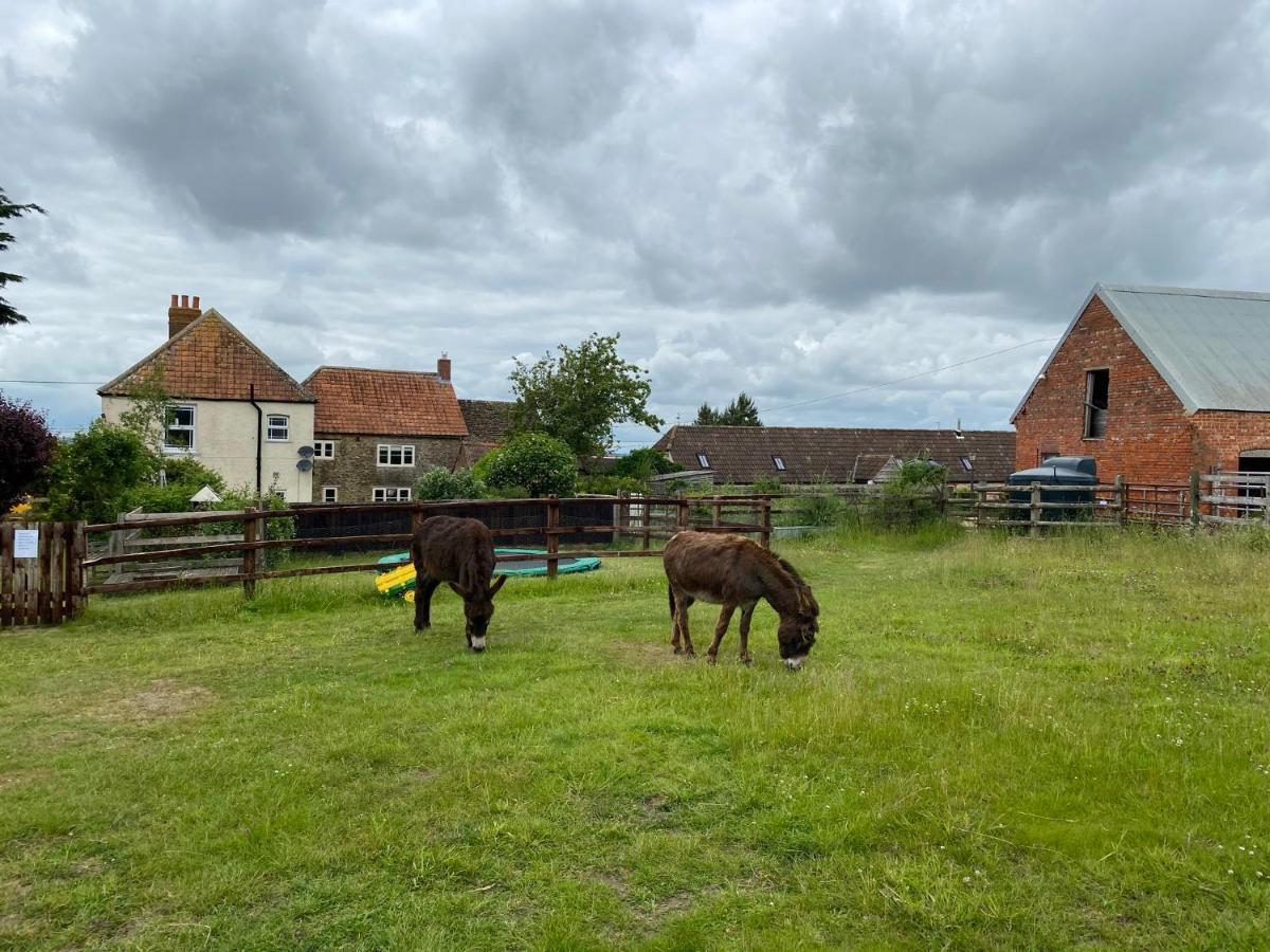 Rew Farm Country & Equestrian Accommodation - Sunrise Lodge Melksham Exteriör bild