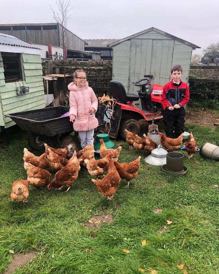 Rew Farm Country & Equestrian Accommodation - Sunrise Lodge Melksham Exteriör bild
