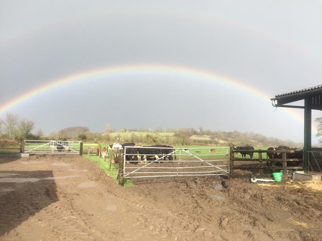 Rew Farm Country & Equestrian Accommodation - Sunrise Lodge Melksham Exteriör bild