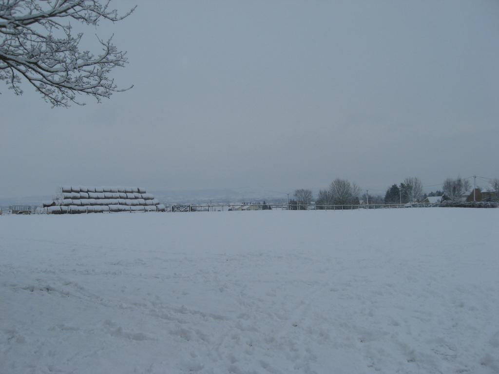 Rew Farm Country & Equestrian Accommodation - Sunrise Lodge Melksham Exteriör bild