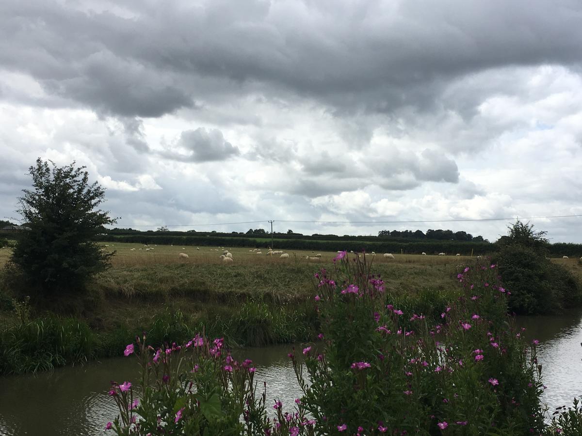 Rew Farm Country & Equestrian Accommodation - Sunrise Lodge Melksham Exteriör bild