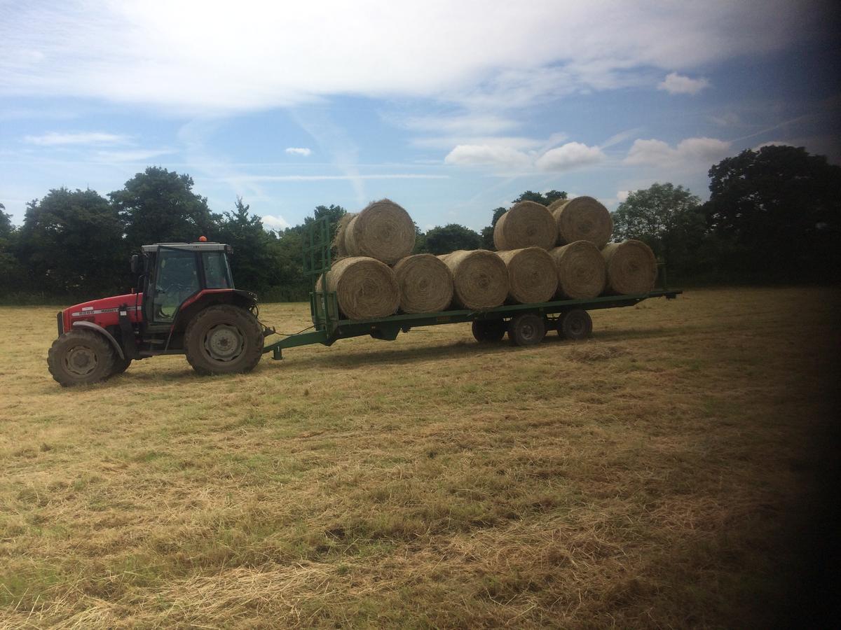 Rew Farm Country & Equestrian Accommodation - Sunrise Lodge Melksham Exteriör bild