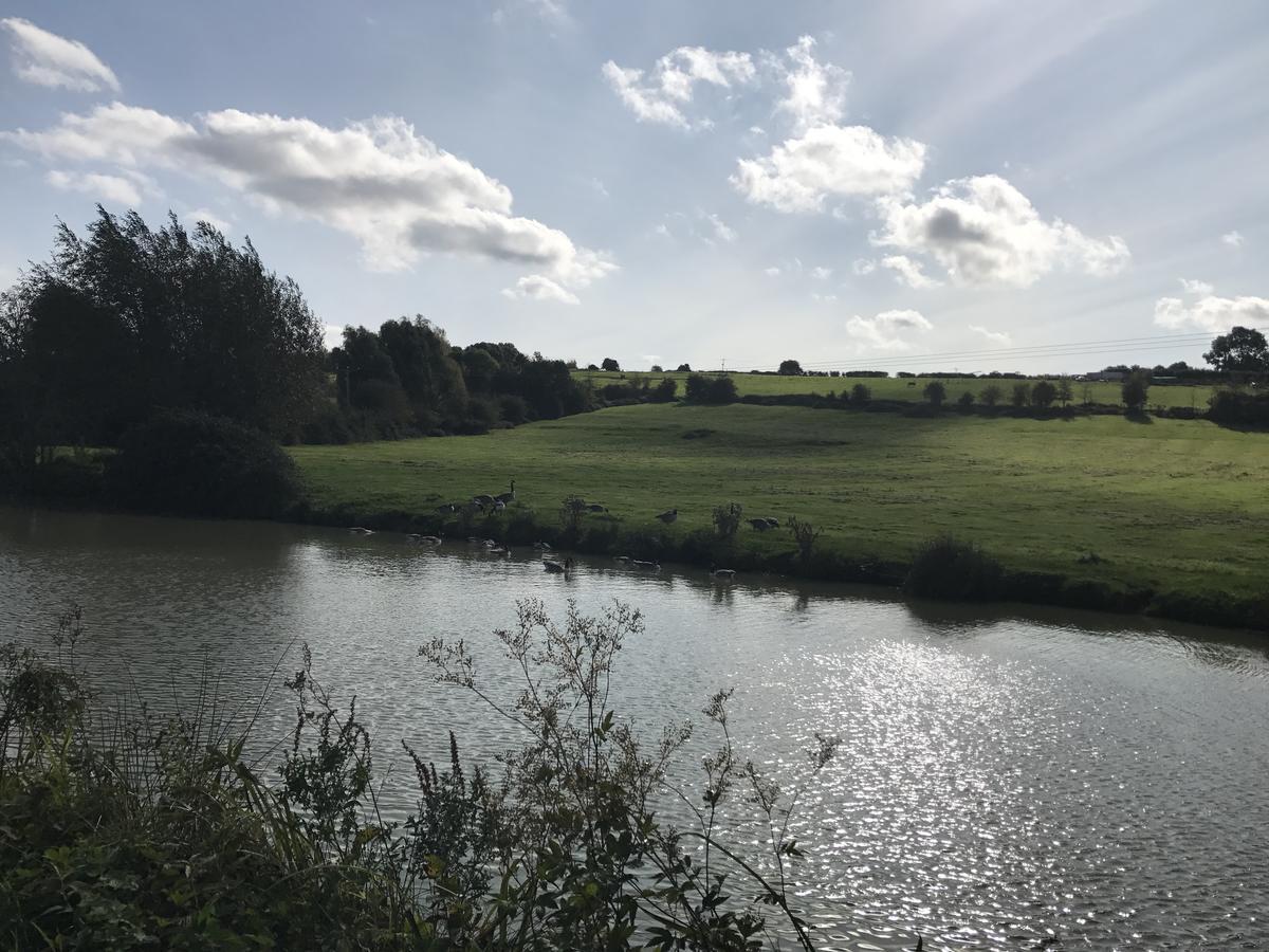 Rew Farm Country & Equestrian Accommodation - Sunrise Lodge Melksham Exteriör bild