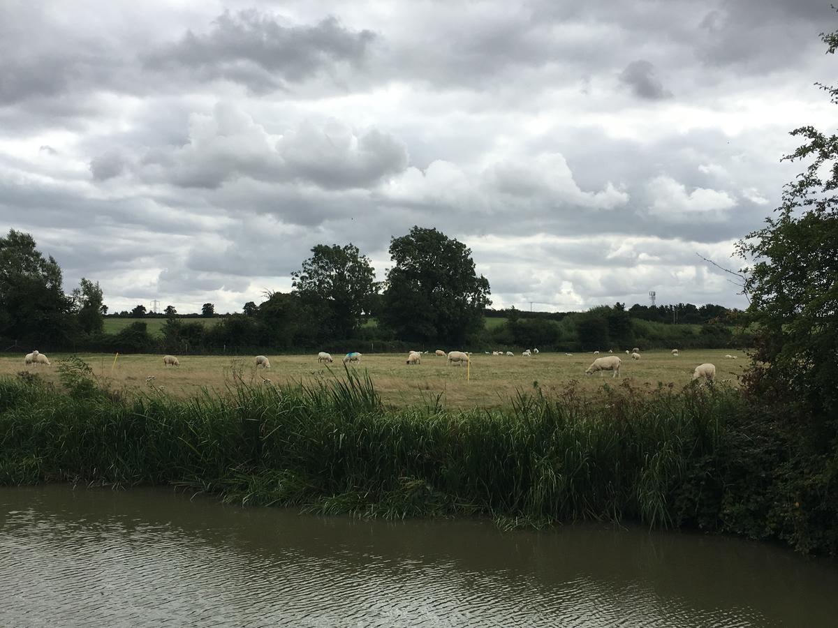 Rew Farm Country & Equestrian Accommodation - Sunrise Lodge Melksham Exteriör bild